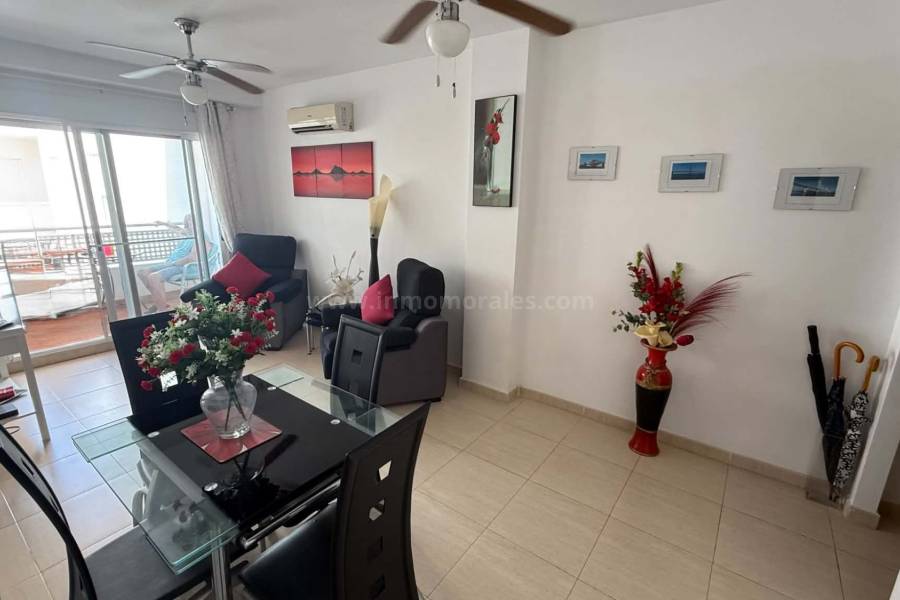 Venta - Apartamento / Piso - Almoradí