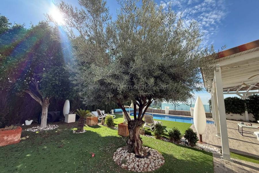 Revente - Maison individuelle / Villa - San Fulgencio - Urb. La Marina