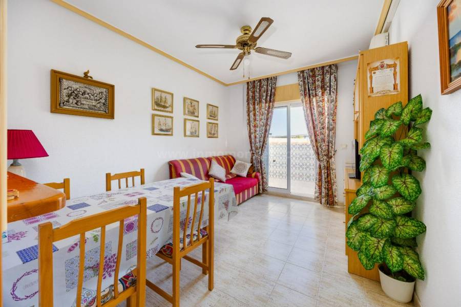 Resale - Penthouse - Torrevieja - Playa del Acequion