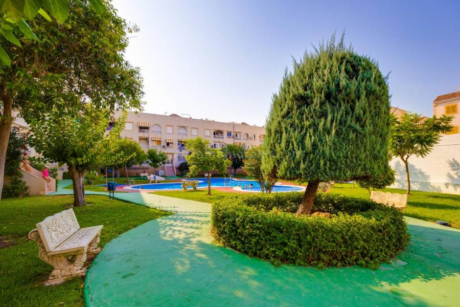 Resale - Penthouse - Torrevieja - Playa del Acequion