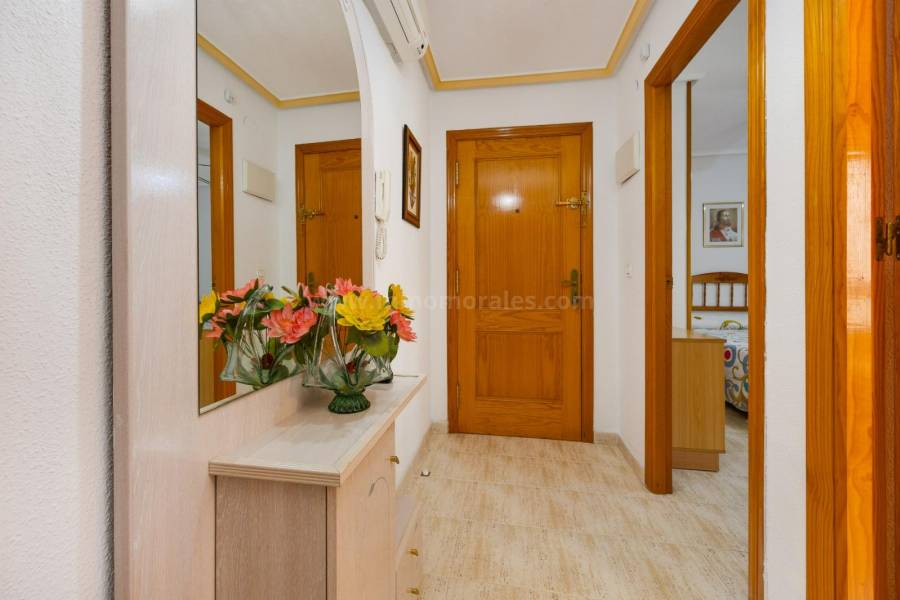 Resale - Penthouse - Torrevieja - Playa del Acequion