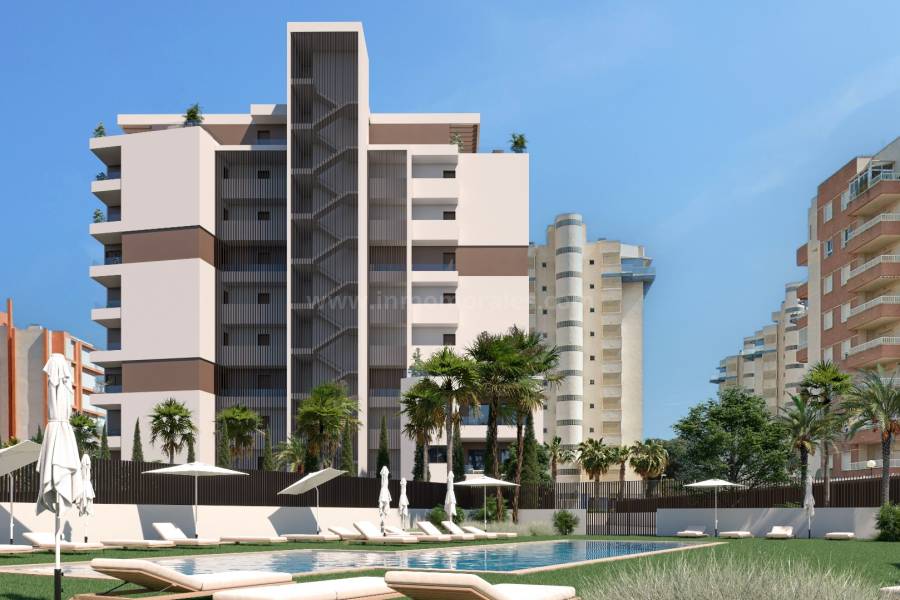 Nueva construcción  - Apartamento / Piso - Guardamar del Segura